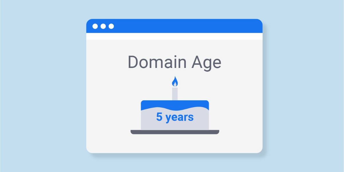 Възраст на домейна: Фактор за класиране в Google?